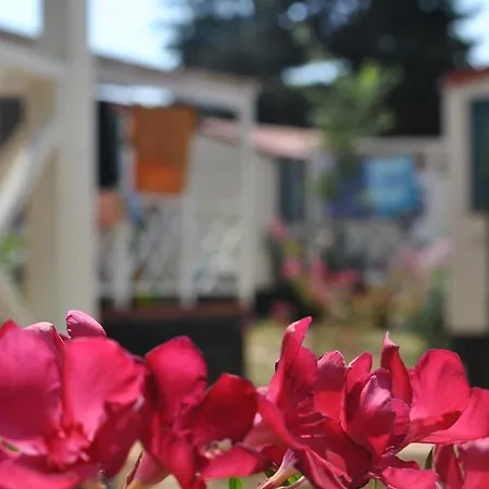Mobile Homes Camp Brione Pula